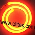 Color Jacket LED Neon Flex Light 12V 24V120V 240V 1