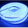 Color Jacket LED Neon Flex Light 12V 24V120V 240V 2