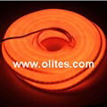 Color Jacket LED Neon Flex Light 12V 24V120V 240V 3