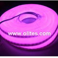 Color Jacket LED Neon Flex Light 12V 24V120V 240V 5