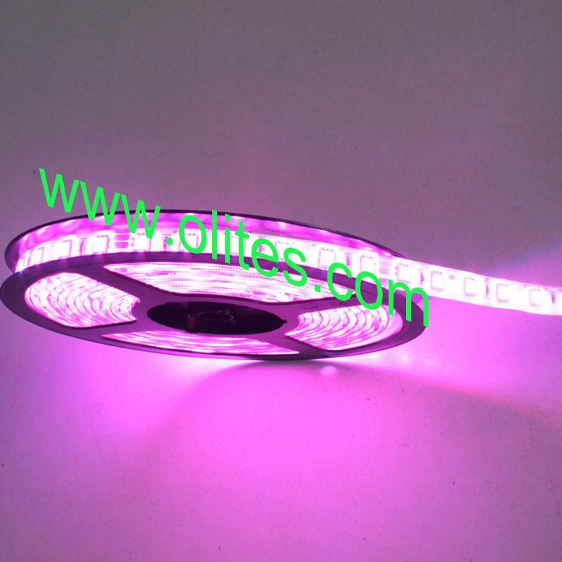 Waterproof Outdoor 3528 SMD Flexible LED Tape Light