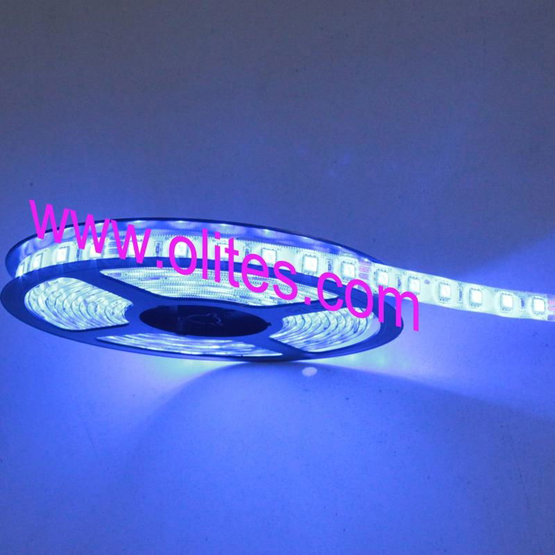 Waterproof Outdoor 3528 SMD Flexible LED Tape Light 3