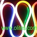 12V 24V 120V 240V Flexible LED Neon Rope