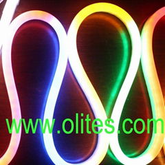 12V 24V 120V 240V Flexible LED Neon Rope Light