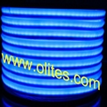 12V 24V 120V 240V Flexible LED Neon Rope Light 2