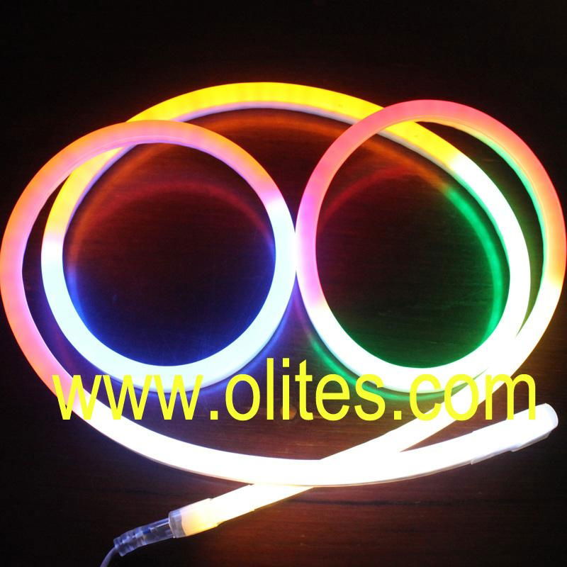 24V 120V 220V Round 360 Degree Flex LED Neon Rope Light 2