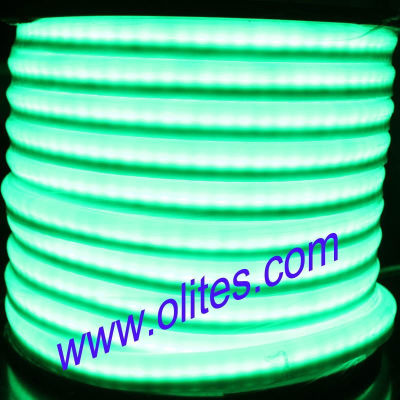 24V 120V 220V Round 360 Degree Flex LED Neon Rope Light 4