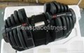 Bowflex SelectTech 552  Dumbbells adjustable