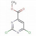 Instocked rom  chainpharm: methyl 2 4-dichloropyrimidine-6-carboxylate 6299-85-0