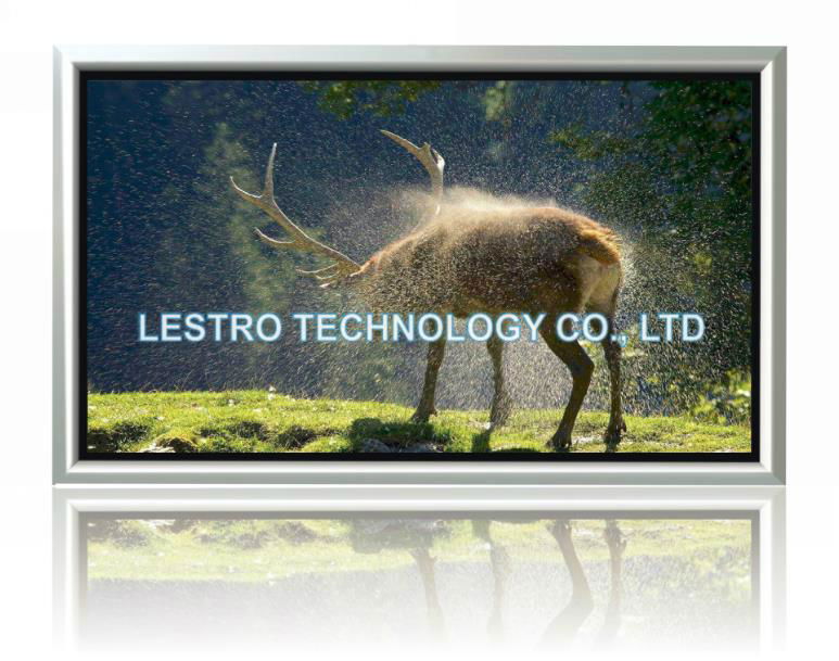 Lestro Fixed Frame Projection Screen 3