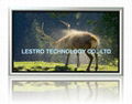 Lestro Fixed Frame Projection Screen 3