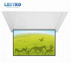 Factory direct supply Motorized ceiling