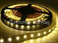 LED Strip SMD5050 60LED's/meter