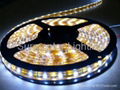 LED Strip SMD5050 60LED's/meter waterproof IP68