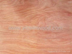 natural mahogany wood veneer sheet