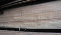 natural burma teak wood veneer(myanmar