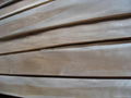 china birch wood veneer with discoloration