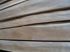 china birch wood veneer with discoloration