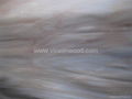 Rotary Cut Agathis Wood Veneer Sheet