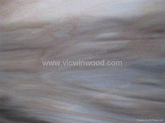 Rotary Cut Agathis Wood Veneer Sheet