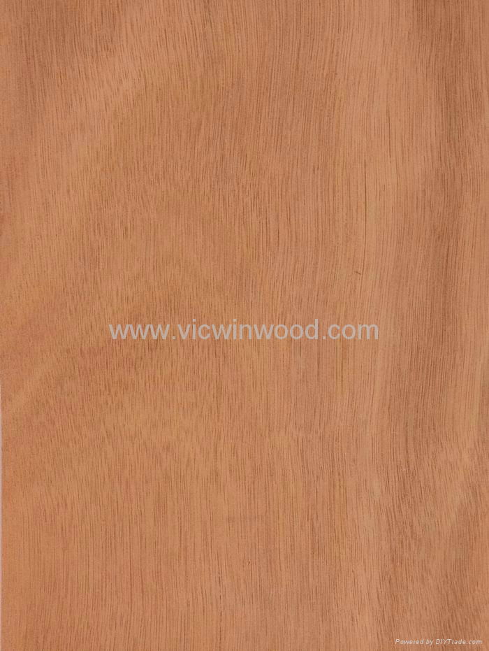 Natural Rotary Cut Okoume Veneer