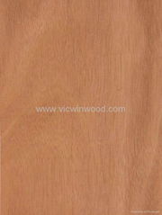 Natural Rotary Cut Okoume Veneer