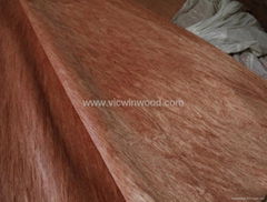 Rotary Cut Bintangor Wood Veneer Sheet