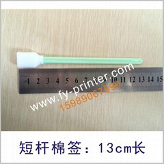 cotton swab (import sponge head)