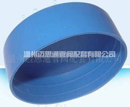 plastic threaded end cap 2