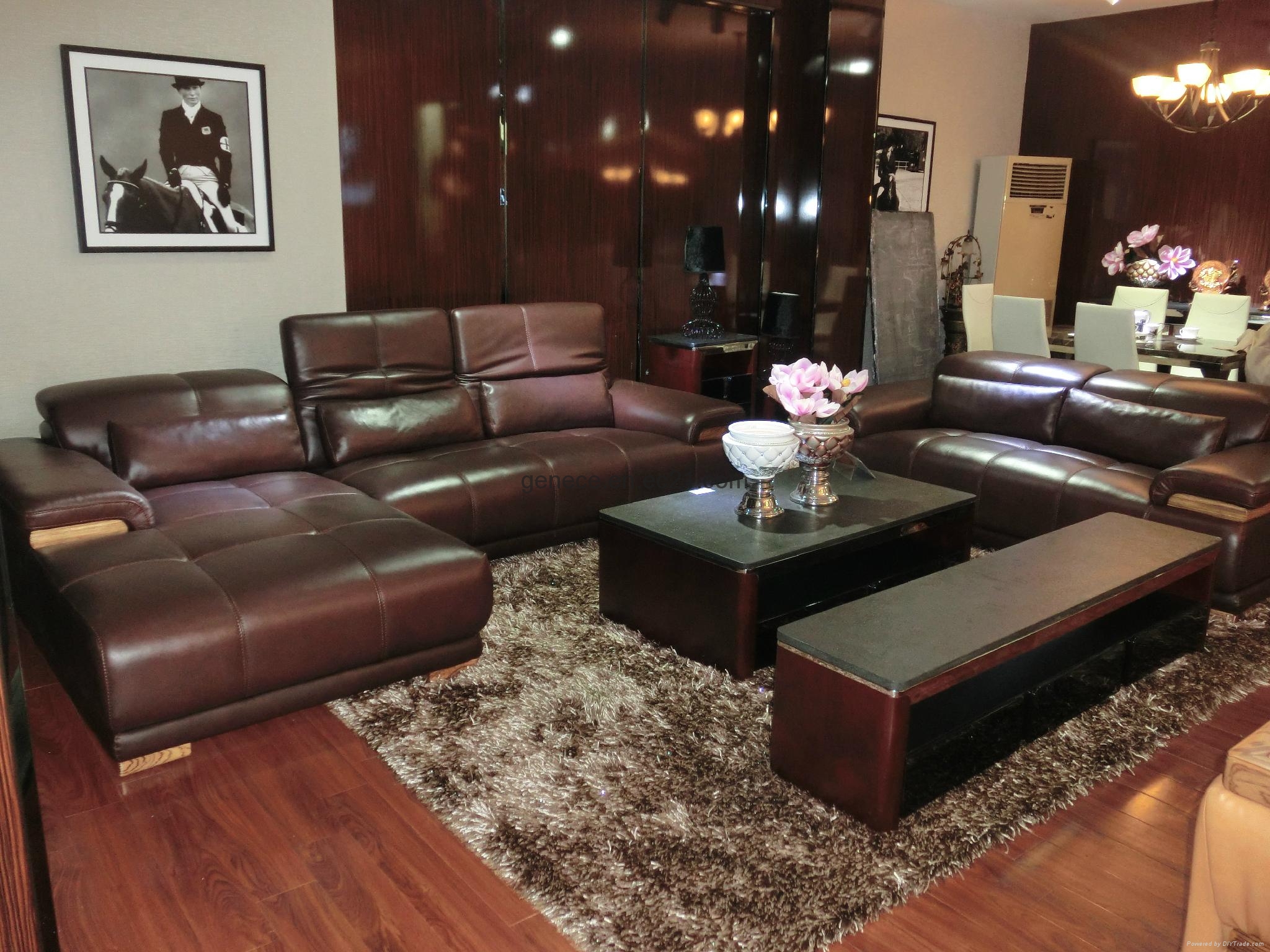 European Style Sectional Sofa Modern Genuine Leather Sofa 2