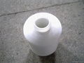 polyester yarn on dyeing cone 