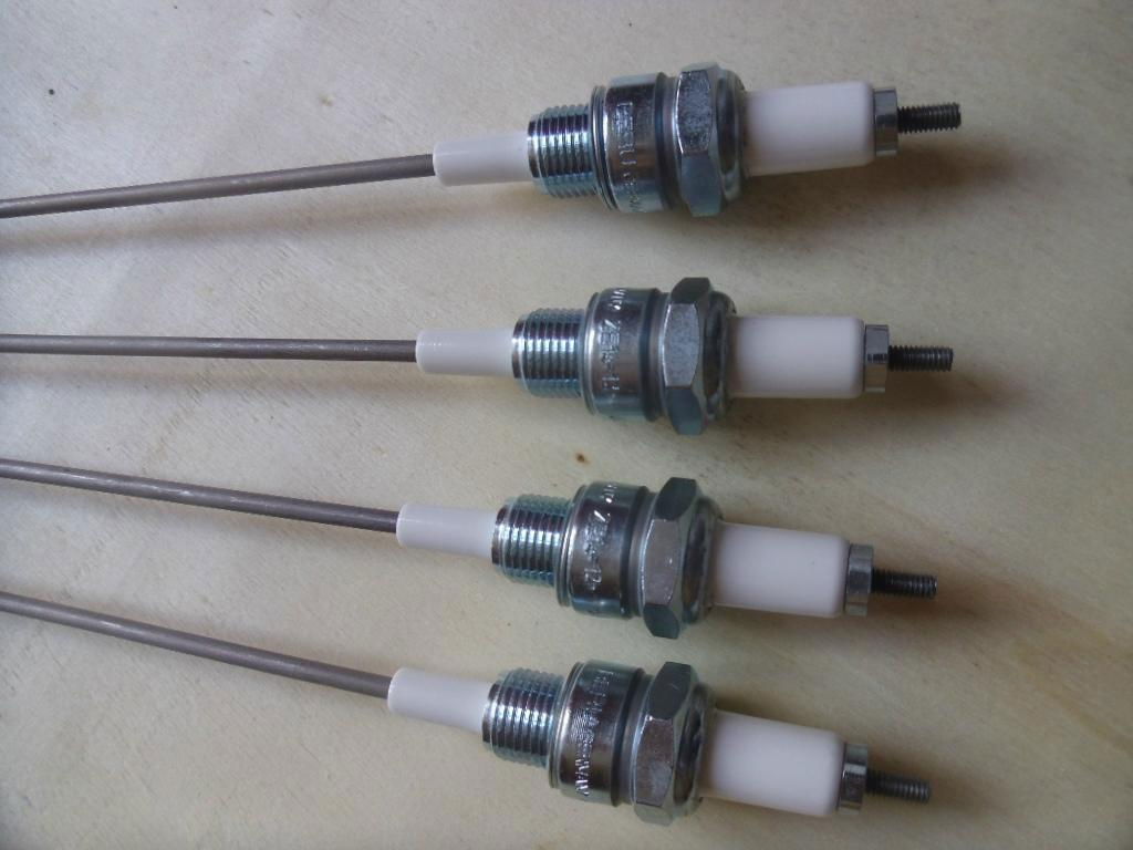 Industrial ignition electrode ZE14-12 5