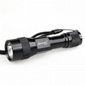 Romisen RC-G2 100 lumens CREE XR-E Q3 led flashlight for one AA battery