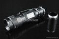 Romisen RC-A5 100 lumens XR-E CREE Q3 LED flashlight with clip