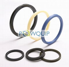 Rotary Shaft Seals 