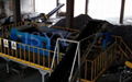 Eddy Current Separator for aluminum can recycling machine 4