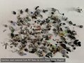Metal Plastic PET Bottles Flakes Separator For Remove Aluminum Ferrous Nonferrou 5