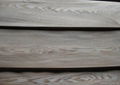 0.6mm Chinese ash veneer 1