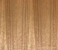 burma teak wood veneer