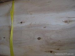 eucalyptus veneer(core veneer)