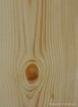 knotty pine wood veneer