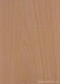 steamed beech veneer 1