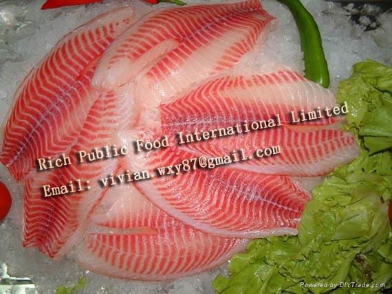 Frozen Tilapia Fillet