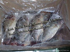 Frozen Black Tilapia Gutted Gilled Scaled