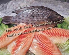 Frozen Black Tilapia Whole Round and Head-On