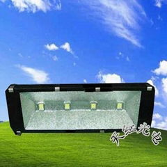 LED Tunnel Light