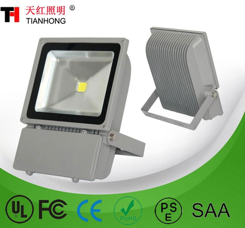 LED Flood light