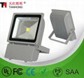 LED Flood light 1