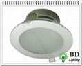 LED天花筒燈 BD-D9106  6W