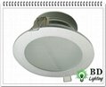 LED Downlight   BD-D9106  6W 1